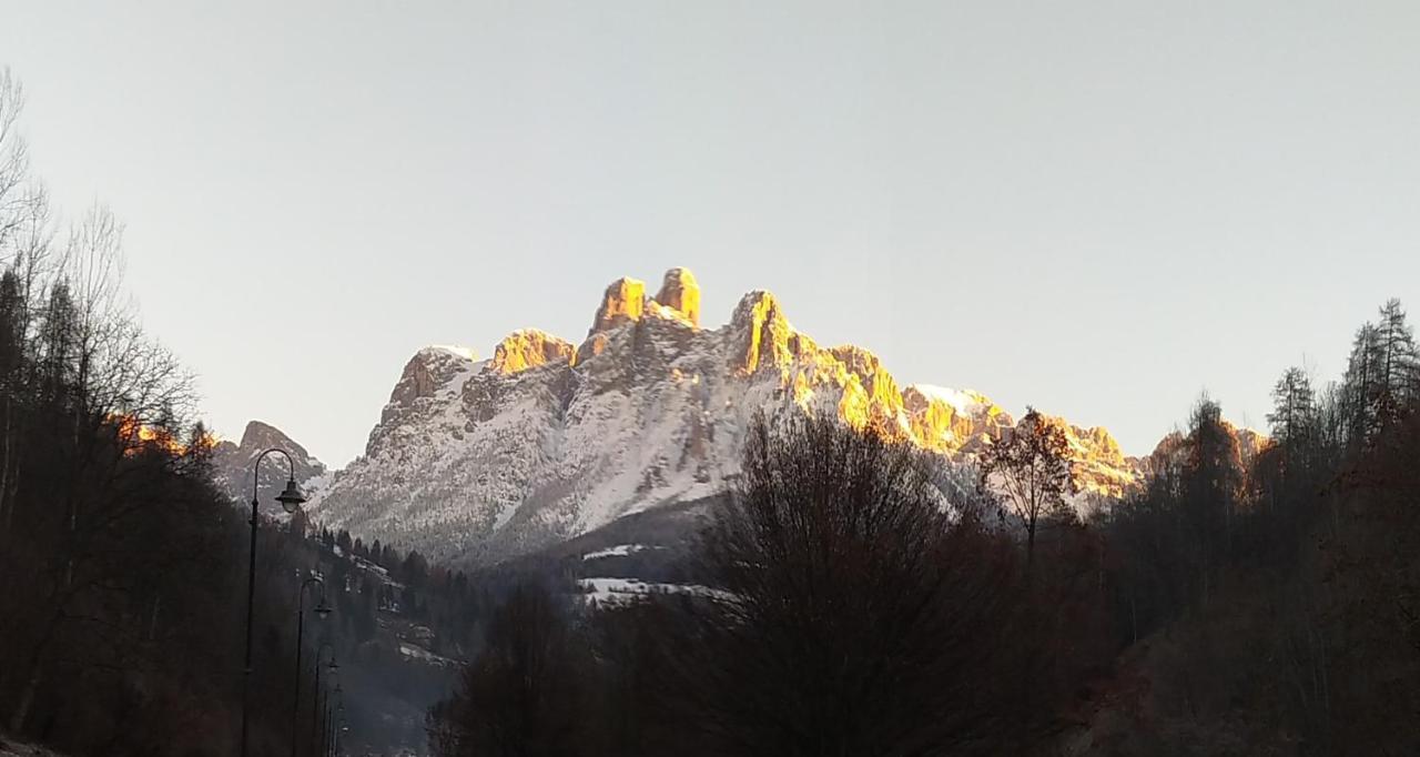 메차노 Casa Renzo - Dolomiti - Trentino 아파트 외부 사진