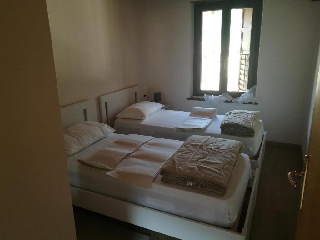 메차노 Casa Renzo - Dolomiti - Trentino 아파트 외부 사진
